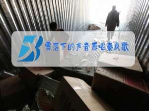 雪落下的声音原唱秦岚歌词