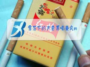 雪落下的声音原唱秦岚mp3