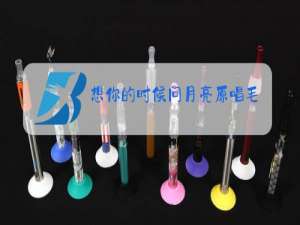 想你的时候问月亮原唱毛惠下载