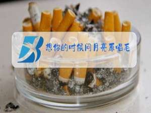 想你的时候问月亮原唱毛慧