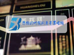 想你的时候问月亮原唱梅朵简谱