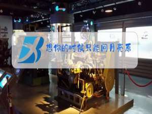 想你的时候只能问月亮原唱简谱