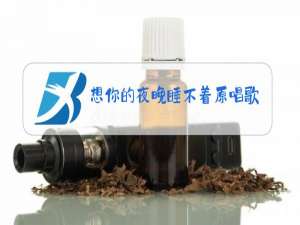 想你的夜晚睡不着原唱歌词