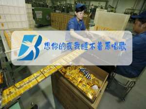 想你的夜我睡不着原唱歌词