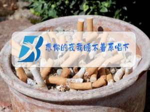 想你的夜我睡不着原唱下载