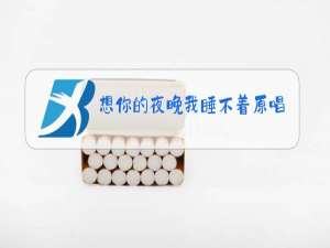想你的夜晚我睡不着原唱