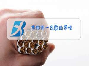 想你那一夜歌曲原唱