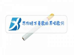 想你睡不着歌曲原唱歌词