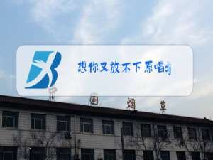 想你又放不下原唱dj