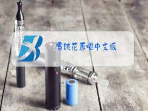 雪绒花原唱中文版