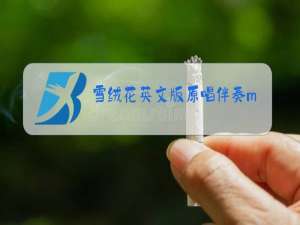 雪绒花英文版原唱伴奏mp3