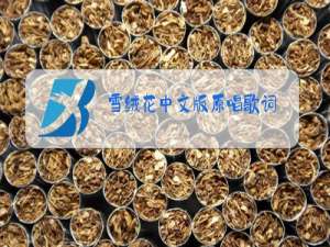 雪绒花中文版原唱歌词