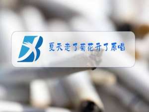 夏天走了菊花开了原唱