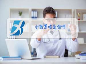 小微原唱是谁啊