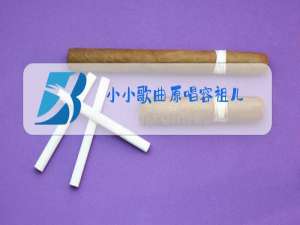 小小歌曲原唱容祖儿