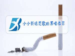 小小新娘花歌曲原唱云菲菲