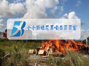 小小新娘花原唱云菲菲官方们