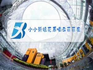 小小新娘花原唱云菲菲在线听