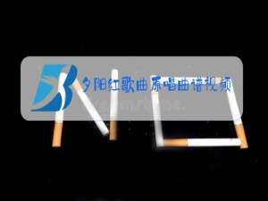 夕阳红歌曲原唱曲谱视频佟铁鑫