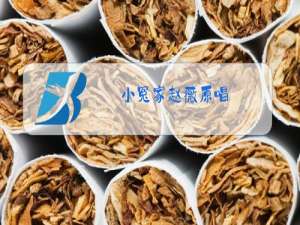 小冤家赵薇原唱