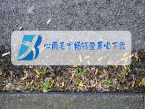 心雨毛宁杨钰莹原唱下载百度网盘