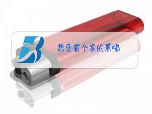 想要有个家的原唱
