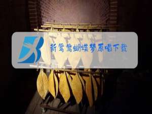 新鸳鸯蝴蝶梦原唱下载