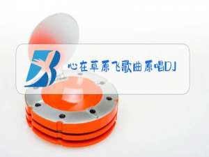 心在草原飞歌曲原唱DJ
