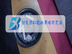 新走西口歌曲原唱荷花清音词