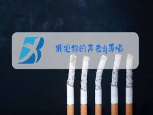 拥抱你的离去dj原唱