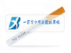 一百万个可能歌曲原唱