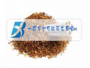 一百万个可能英文原唱mp3