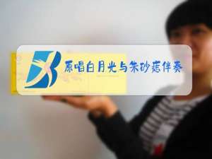 原唱白月光与朱砂痣伴奏