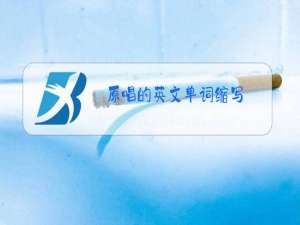 原唱的英文单词缩写