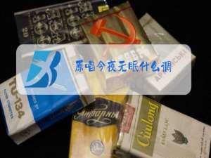 原唱今夜无眠什么调