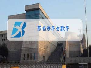 原唱杀手女歌手