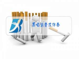 原唱消音成伴奏