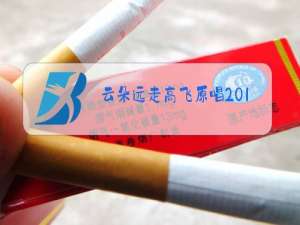 云朵远走高飞原唱2018年最火的歌曲