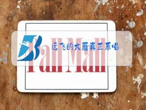 远飞的大雁真正原唱