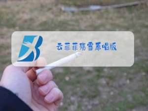 云菲菲殇雪原唱版
