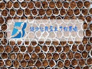 缘分让我爱上了你原唱