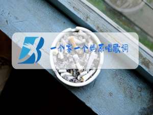 一个家一个妈原唱歌词