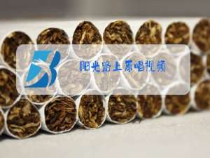 阳光路上原唱视频