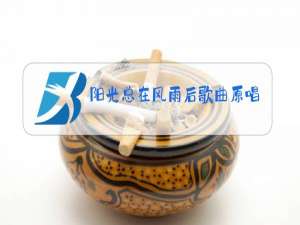 阳光总在风雨后歌曲原唱播放