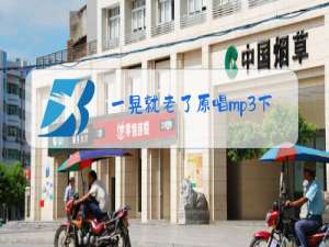 一晃就老了原唱mp3下载网盘