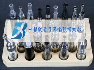 一晃就老了原唱秋裤大叔下载