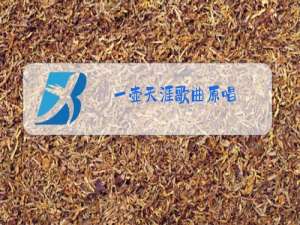 一壶天涯歌曲原唱