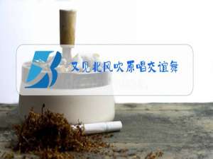 又见北风吹原唱交谊舞