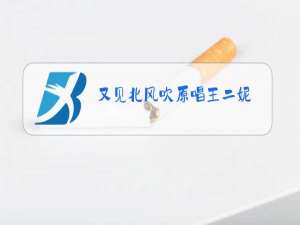 又见北风吹原唱王二妮