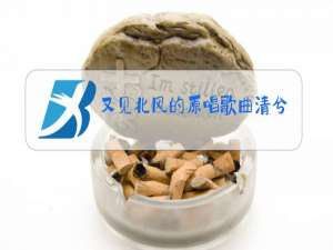 又见北风的原唱歌曲清兮凝胶的作用